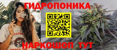 гидра Нальчик