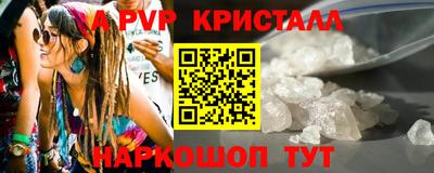 гидра Нальчик